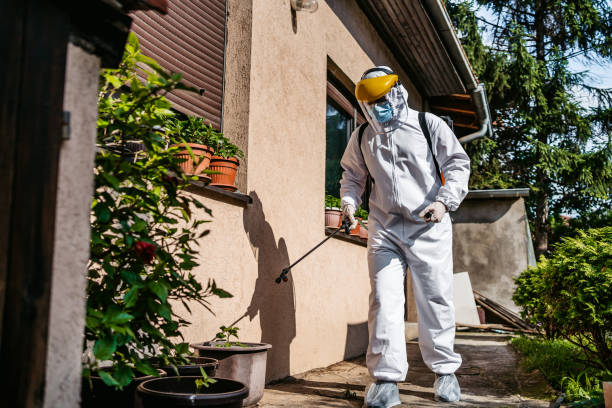Best Spider Control Near Me  in Hartford, AL