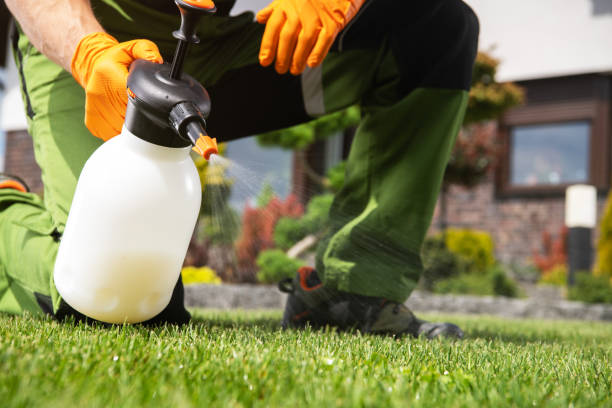 Best Pest Prevention Services  in Hartford, AL