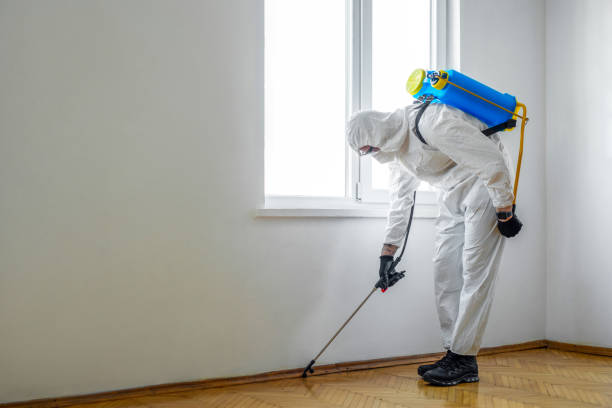 Best Cockroach Control Services  in Hartford, AL