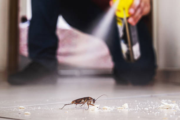Best Mosquito Control Services  in Hartford, AL