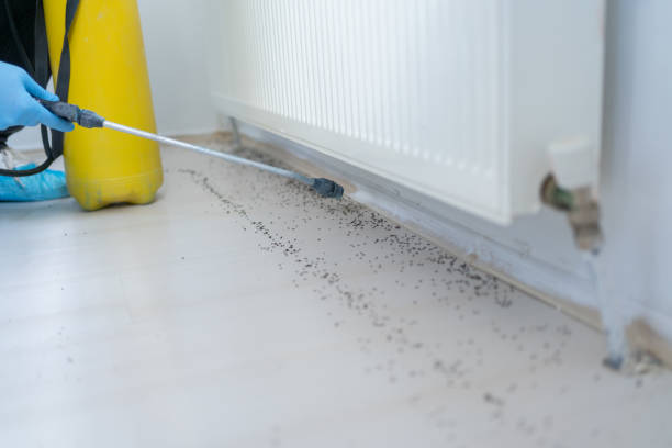 Reliable Hartford, AL Pest Control Solutions