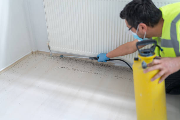 Best Pest Removal Services  in Hartford, AL