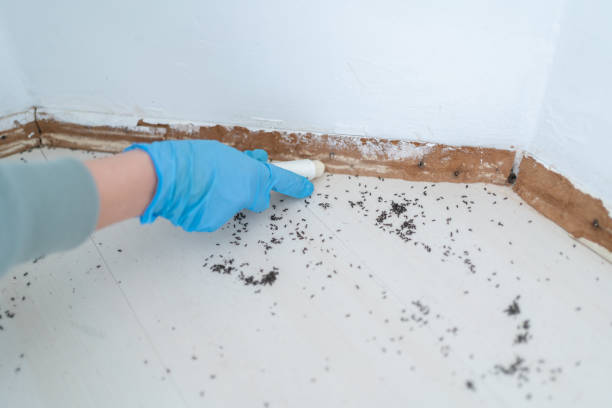 Best Affordable Pest Control Services  in Hartford, AL