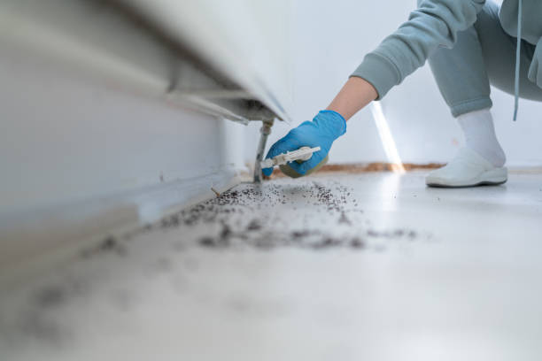 Best Commercial Pest Control Services  in Hartford, AL